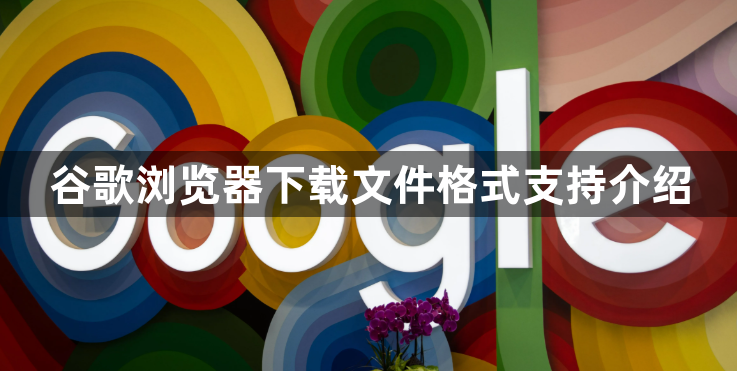 谷歌浏览器下载文件格式支持介绍1