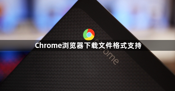 Chrome浏览器下载文件格式支持1