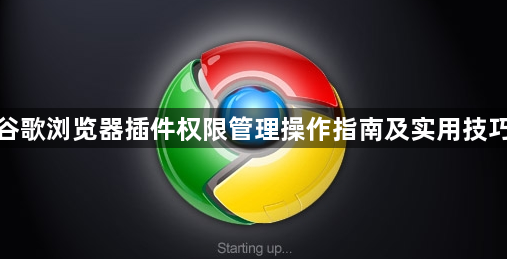 谷歌浏览器插件权限管理操作指南及实用技巧1