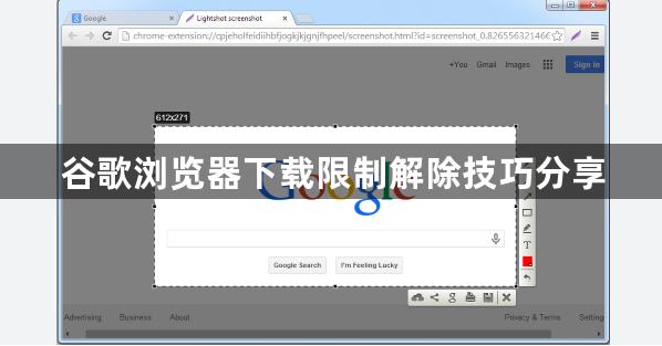 谷歌浏览器下载限制解除技巧分享1