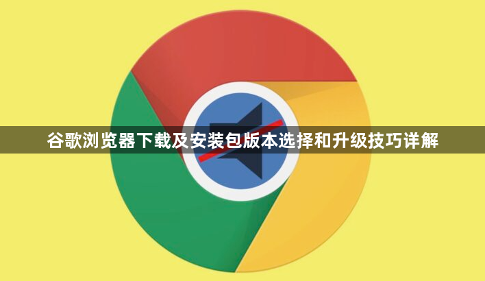谷歌浏览器下载及安装包版本选择和升级技巧详解1