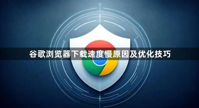 谷歌浏览器下载速度慢原因及优化技巧1