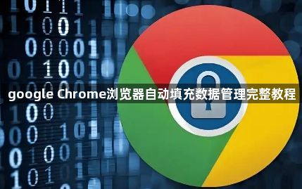 google Chrome浏览器自动填充数据管理完整教程1