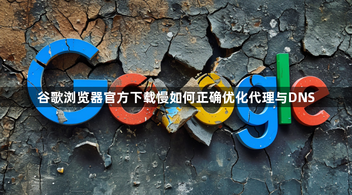 谷歌浏览器官方下载慢如何正确优化代理与DNS1