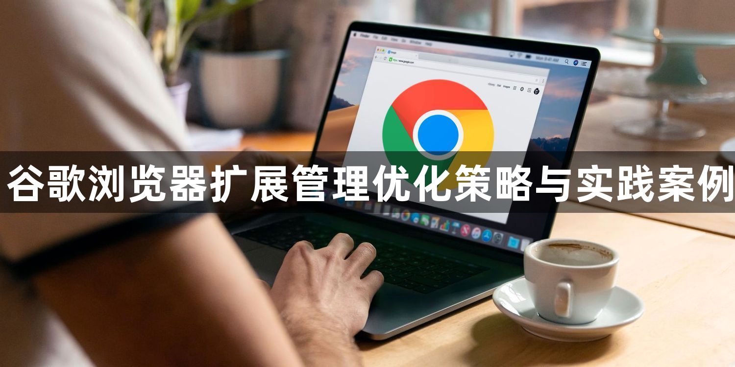 谷歌浏览器扩展管理优化策略与实践案例1