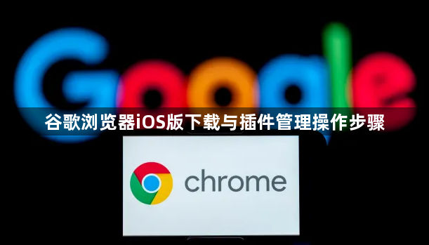 谷歌浏览器iOS版下载与插件管理操作步骤1