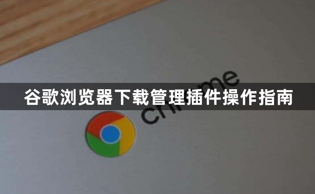 谷歌浏览器下载管理插件操作指南1