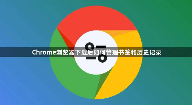 Chrome浏览器下载后如何管理书签和历史记录1
