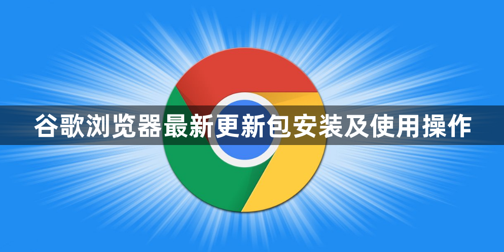 谷歌浏览器最新更新包安装及使用操作1