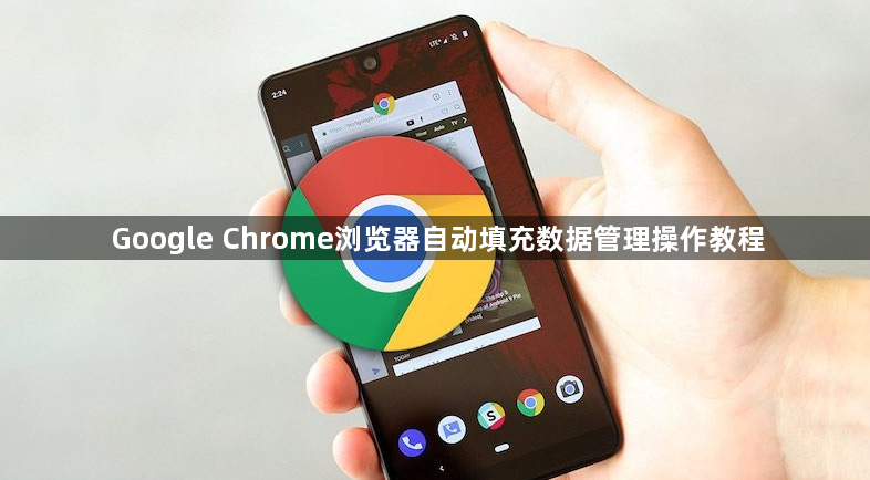 Google Chrome浏览器自动填充数据管理操作教程1