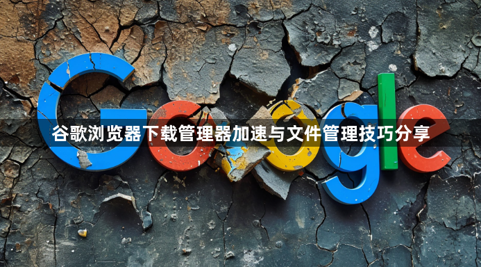 谷歌浏览器下载管理器加速与文件管理技巧分享1