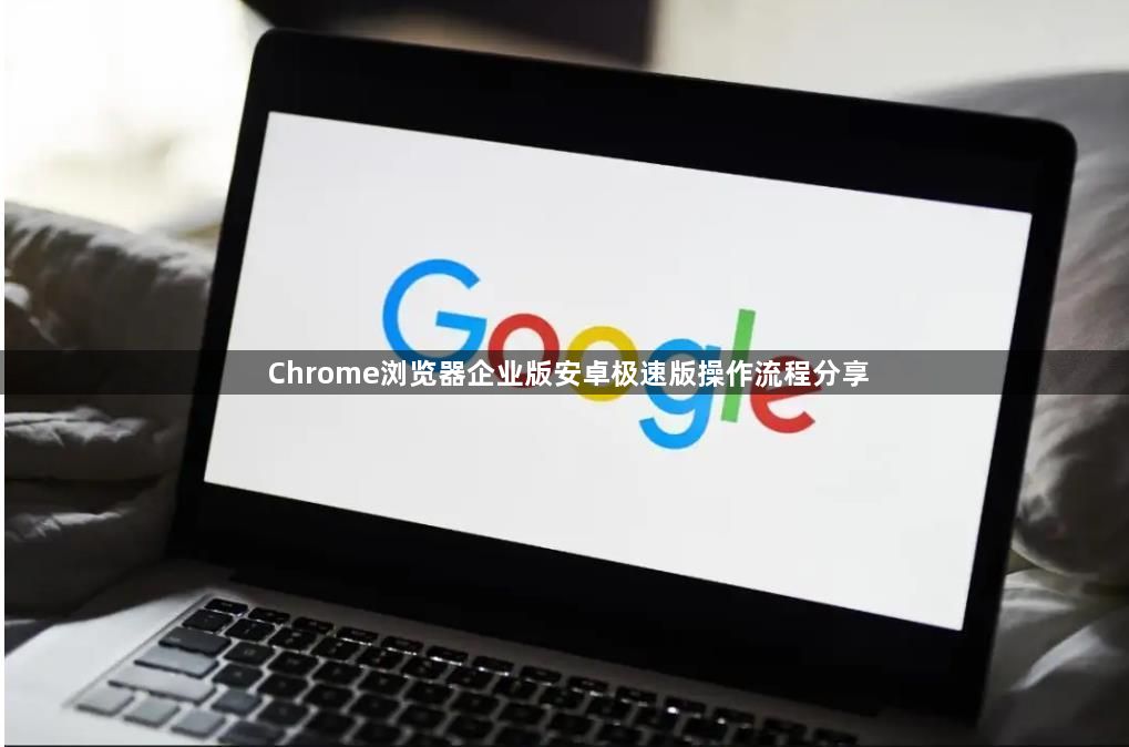 Chrome浏览器企业版安卓极速版操作流程分享1