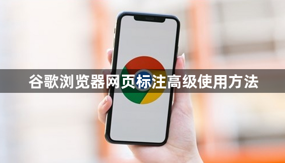 谷歌浏览器网页标注高级使用方法1