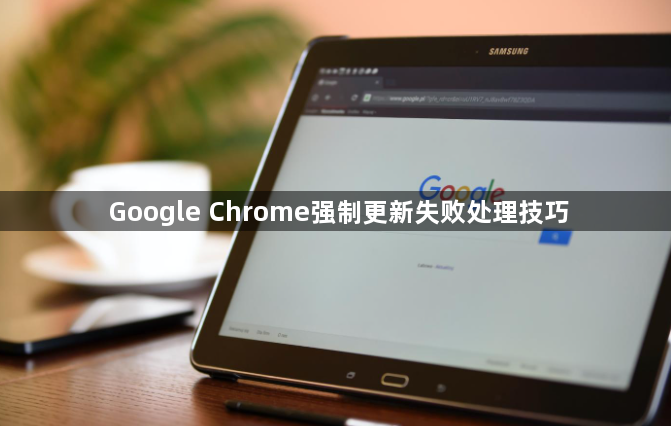 Google Chrome强制更新失败处理技巧1