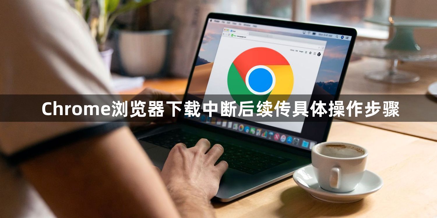 Chrome浏览器下载中断后续传具体操作步骤1