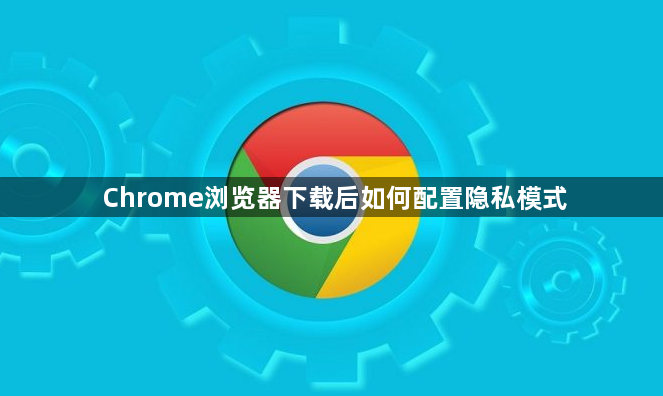 Chrome浏览器下载后如何配置隐私模式1