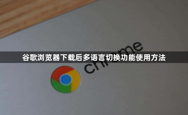 谷歌浏览器下载后多语言切换功能使用方法1