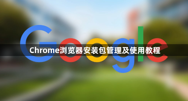 Chrome浏览器安装包管理及使用教程1